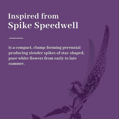 KOL 5ft 2-Pack Artificial Veronica Spiked Speedwell Grass, 59in Faux Tall Horsetail Grasses, Veronica Spicata, UV-Resistant Fake Plants for Indoor/Outdoor Décor, Home Office Wedding Centerpiece