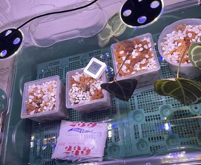 Voulosimi 15QT Organic Perlite Horticultural Soil Amendment for Plants and Enhanced Drainage Enhanced Growth(5-8mm), ZZ-154512156