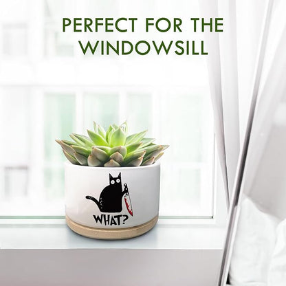 Funny Black Cat Plant Pot for Succulent, Cactus Flower Planter for Indoor Plants, Unique Succulents Pots with Drainage, Cats Owner Gifts, Home Desk Decor Planter Gift for Cat Lover (No Plants)