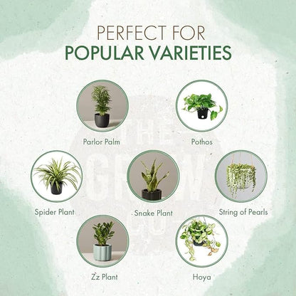 Indoor Plant Food - All-Purpose Fertilizer (Liquid Alternative) - Best for Houseplants Indoors + Common Home Outdoor Plants in Pots (5 oz)