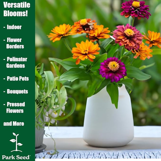 Park Seed Zinnia Flower Planting Seeds, Easy to Grow, Perfect for Spring Garden, Profusion Apricot, Pack of 25