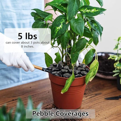 Black Pebbles for Indoor Plants, Natural Polished River Rocks, Small Decorative Stones for Planters Vase Fish Tank Aquariums Landscaping Garden, 5lbs