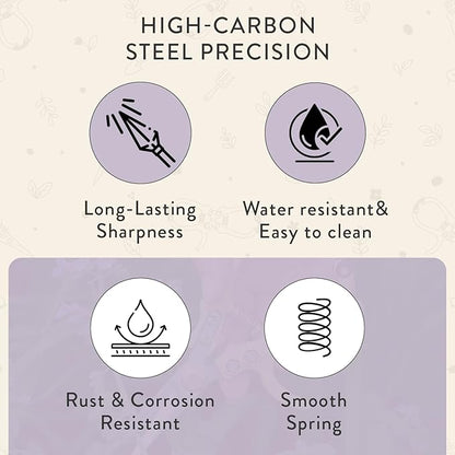 Modern Sprout Hand Pruners - Lightweight Pruning Shears W/Easy Lock- Gardening Scissors - Bypass Sharp Carbon Steel Blade - Rust Resistant - Garden Tools - Reusable Holster - Lavender