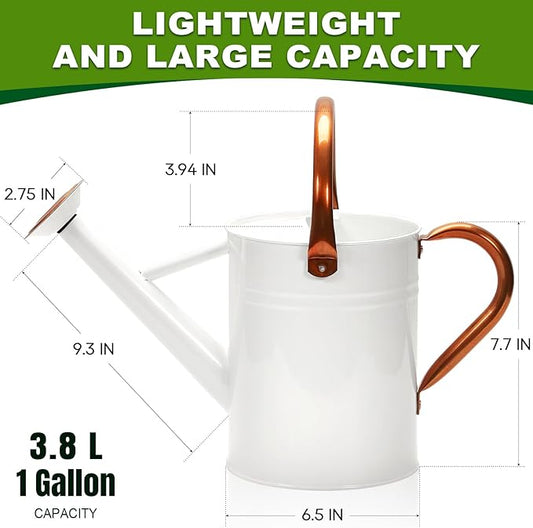 Metal Watering Can with Removable Spout, Galvanized Watering Can, Perfect for Indoor Use and for Outdoor Use (1 Gallaon, White)