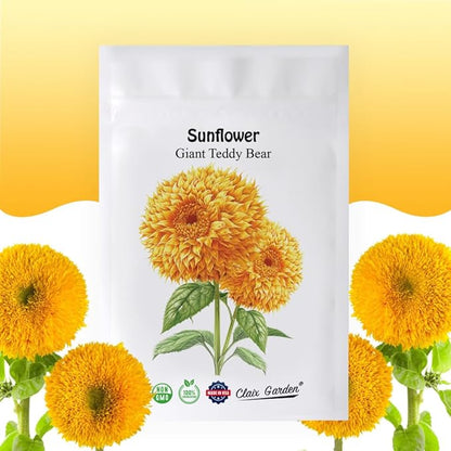Sunflower Seeds - Giant Teddy Bear - 50 Seeds - Heirloom, Non-GMO, USA Grown, Excellent for Pollinators, Annual, Deer Resistant - Sunflower Seeds for Any Home Garden