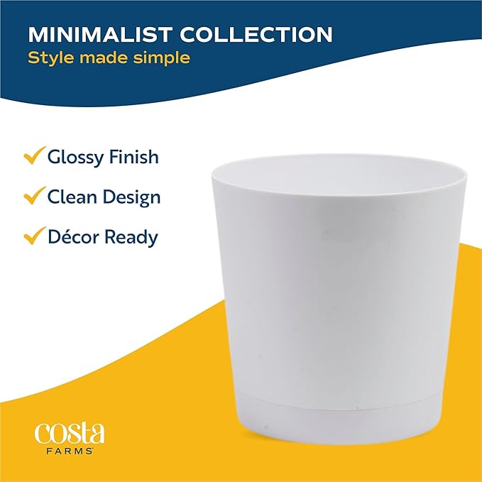 Costa Farms White Bird of Paradise Live Plant in Decorative Pot, Large Indoor Houseplant, Perfect for Home, Room, or Office Decor, Great House Warming or Birthday Gift, 3-4 Feet Tall