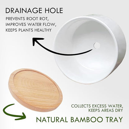 Funny Black Cat Plant Pot for Succulent, Cactus Flower Planter for Indoor Plants, Unique Succulents Pots with Drainage, Cats Owner Gifts, Home Desk Decor Planter Gift for Cat Lover (No Plants)