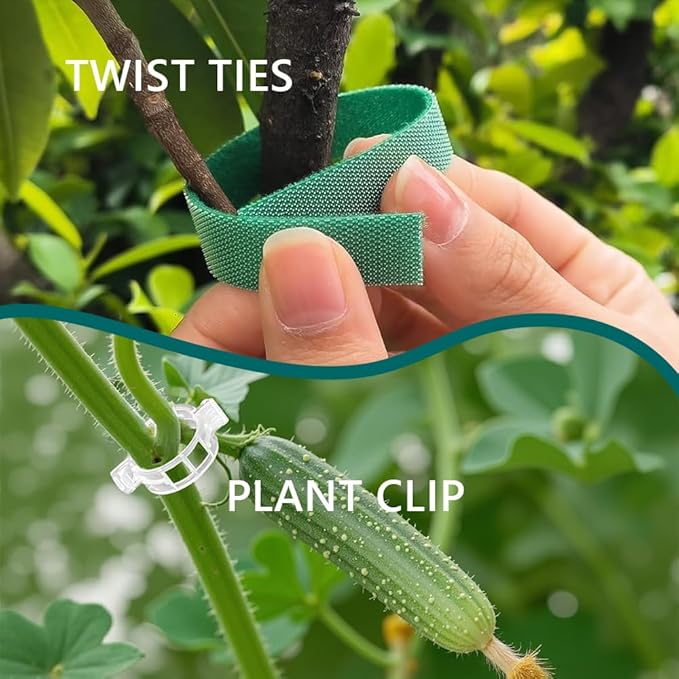 MAFONE 6 Pack 24inch Plant Support Stakes,Plant Stick for Two Sizes(12 or 24Inch) Garden Single Stem Flower Support Stake Plant Cage Support with 20pcs Clips and Plant Ties for Tomato Orchid Lily