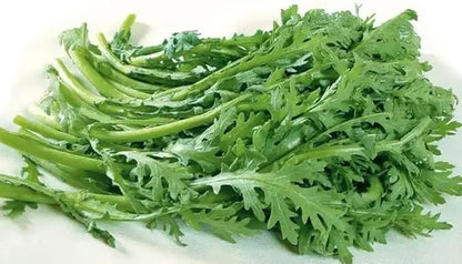 100PCS Garland Chrysanthemum Seeds Edible Tung Ho Annual Crowndaisy Vegetable Seeds Heirloom