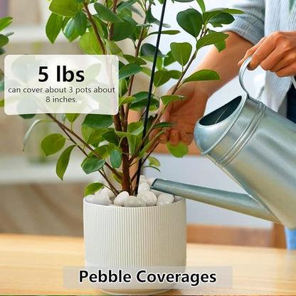 White Pebbles for Indoor Plants, Natural Polished River Rocks, Small Decorative Stones for Planters Vase Fish Tank Aquariums Landscaping Garden, 2lbs