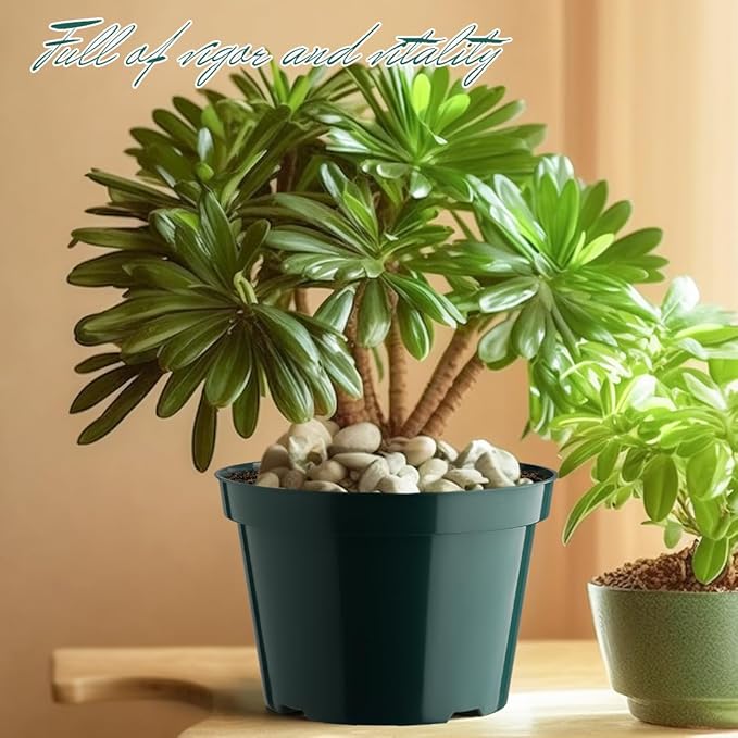 BTPLASTIK 8 Inch Plastic Plant Pots, 15 Pack Sturdy Nursery Pots with Drainage Holes, Flower Planter Pots for Indoor Outdoor, Garden Containers Sets for Vegetable Herbs Flowers, Green