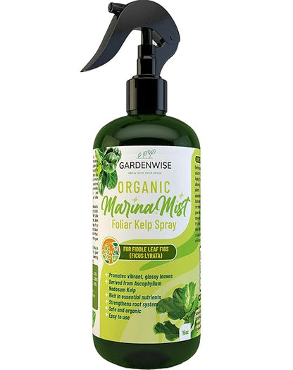 Organic Marina Mist Foliar Spray for Fiddle Leaf Fig and Other Ficus Trees | Micro Nutrients for Vital Health | Gentle Formula | Liquid Plant Food | Quick Results | Ready to Use (16 OZ)