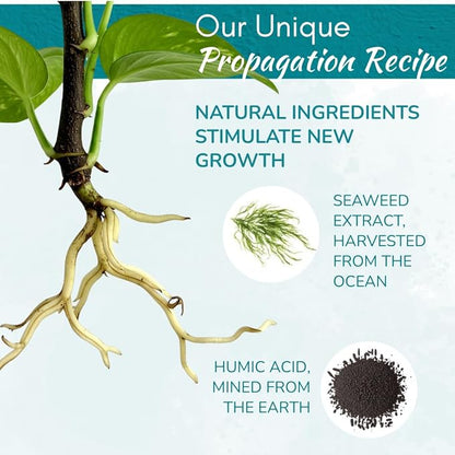 Houseplant Prop Drops - Propagation Promoter & Root Growth Hormone | Root Stimulator for Cuttings | Supports Stronger, Healthier Plants | Easy-to-Use Liquid Formula for Water & Soil Propagation | 8oz
