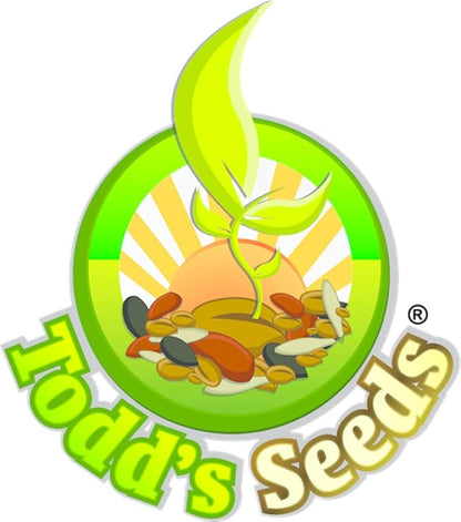 Todd's Seeds Red Russian Kale Seed - 1 Pound