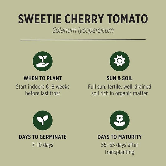 Banyan Botanicals Organic Sweetie Cherry Tomato Seeds – for Planting a Home Garden – Easy-to-Grow Sweet and Delicious Tomatoes – 25 Count – Open Pollinated Non-GMO Heirloom