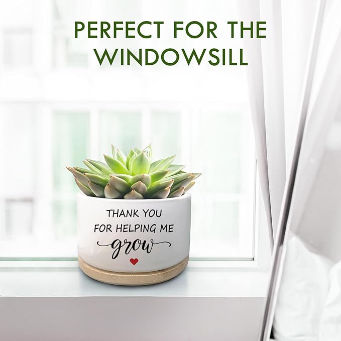 Thank You Gifts for Teacher, Succulent Plant Pot, Flower Planter Gifts, Teachers Appreciation Gift Graduation Retirement Gift Thank You Idea, Thank You for Helping Me Grow (No Plants)