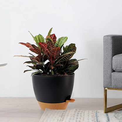 10/9/8 inch Self Watering Pots, Set of 3 Plastic Planters with Mesh Drainage Holes and Deep Reservoir for Indoor Outdoor Garden Plants and Flowers, Black with Brown