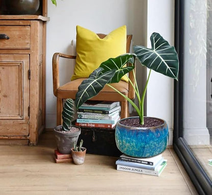 Reactive Glaze Peacock Color 11" Ceramic Plant Pot, Large Blue Green Planter Artisan Flower Pot with Drainage Hole, Breathable Planter for Indoor Outdoor Plants