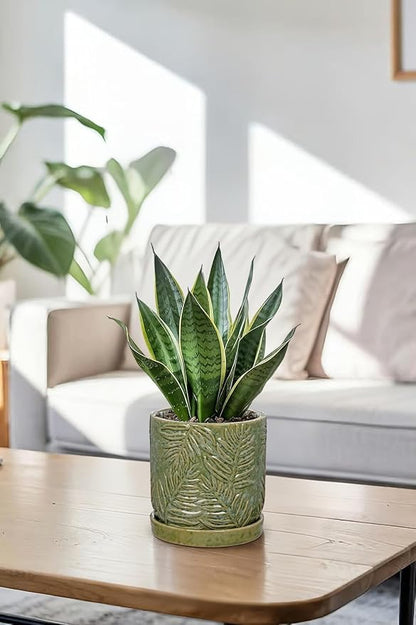 5.5 Inch Ceramic Planter Pots with Drainage Holes, Saucers for Indoor-Outdoor Plants, Succulent Orchid Flower Large Round Plant Pot Green