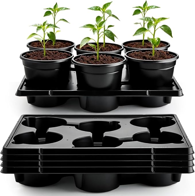 6 Inch Plastic Plant Pots 30 Pack and 6 Cell Nursery Pots Trays 5 Pack, Sturdy Seeds Starting Germination Shuttle Carrying Trays, Black Nursery Planting Propagation 5 Sets