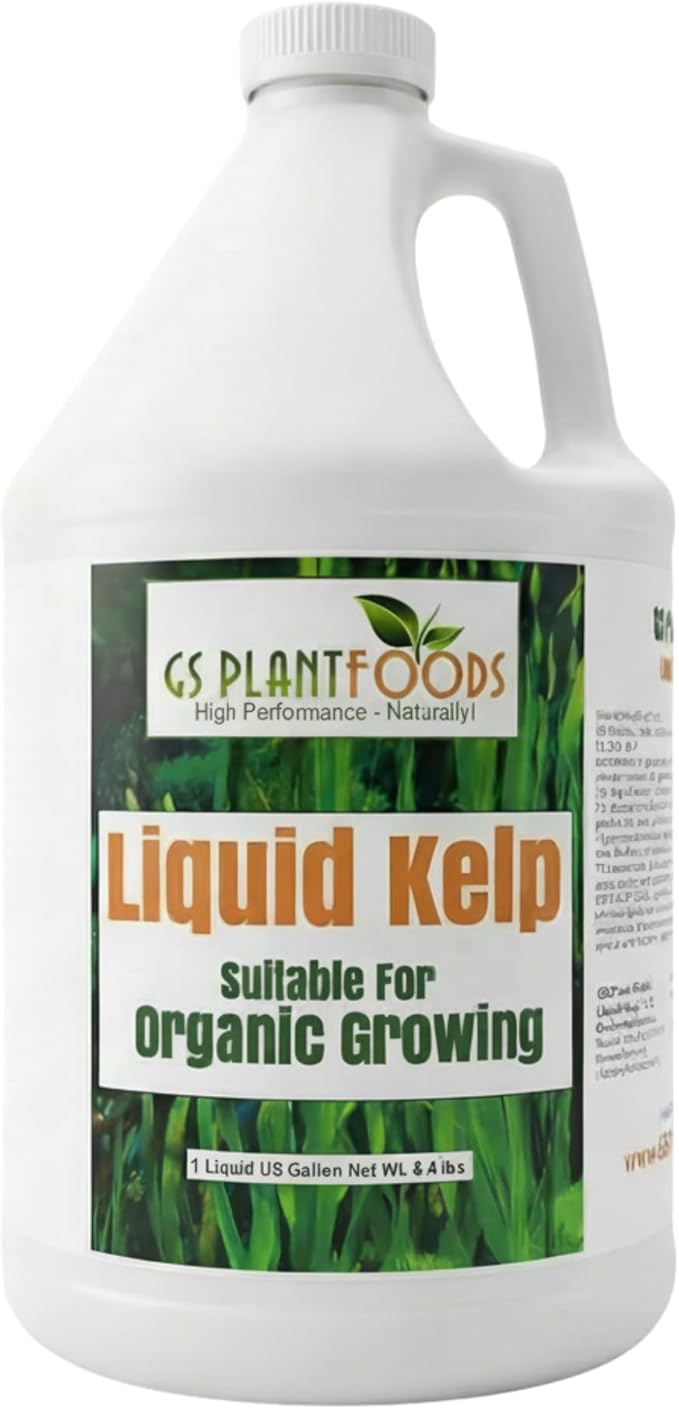 GS Plant Foods Liquid Kelp Fertilizer – Suitable for Organic Growing, OMRI Listed Seaweed Concentrate for Lawns, Gardens & Soil - 1 Gallon (Makes Up To 800+ Gallons)