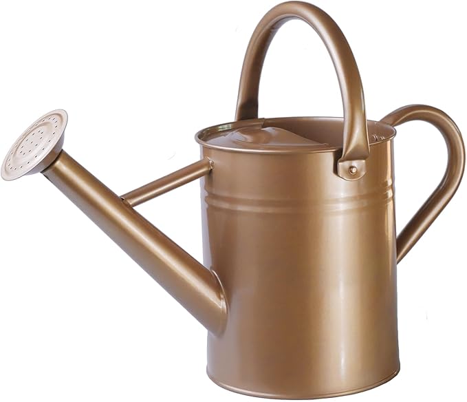 Metal Watering Can for Outdoor Plants, Galvanized Steel Watering Can with Removable spout, 1 Gallon,Perfect Home & Garden Decor Gold