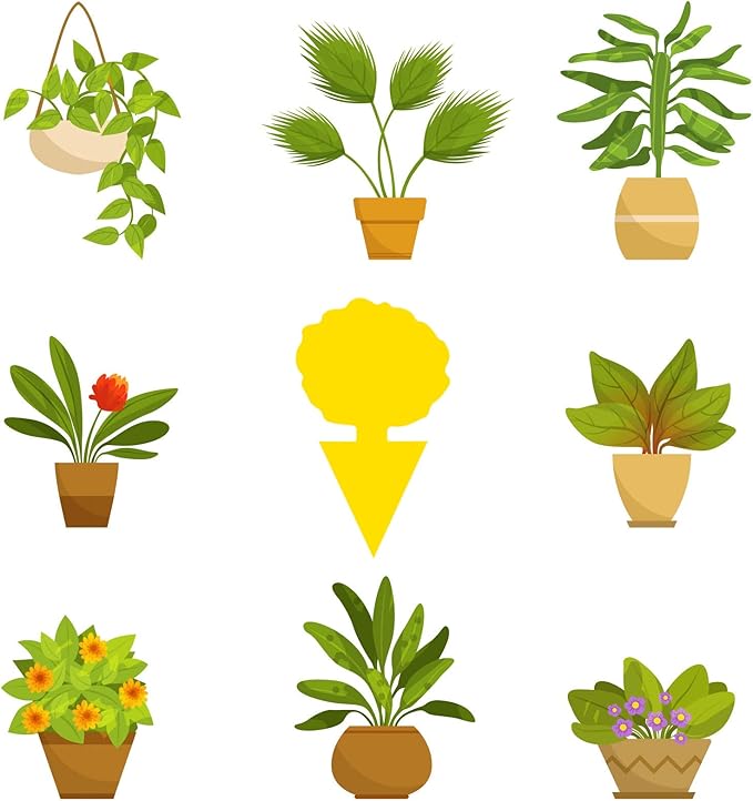 48 Pack Fruit Fly Traps for Indoors Plants Fungus Gnat Killer Trap Outdoor, Sticky Fly Catcher for House Outdoor, Flying Insects, Fungus Gnats, Flies