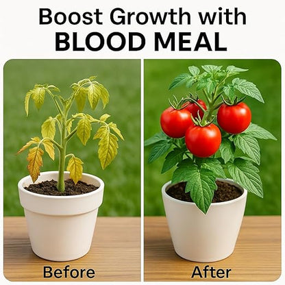 𝐁𝐄𝐒𝐓𝐒𝐄𝐋𝐋𝐄𝐑 Organic Blood Meal Fertilizer by Gardenera - 12-0-0 NPK - All-Natural Plant Food Source of Nitrogen for Organic Gardening, Flowers, Vegetables, Trees & Shrubs [16 OZ]