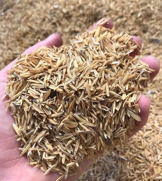 Gardenera Rice Hulls for Potting Applications - Promote Root Development, Water Efficiency, and Disease Resistance - 5 QUARTS