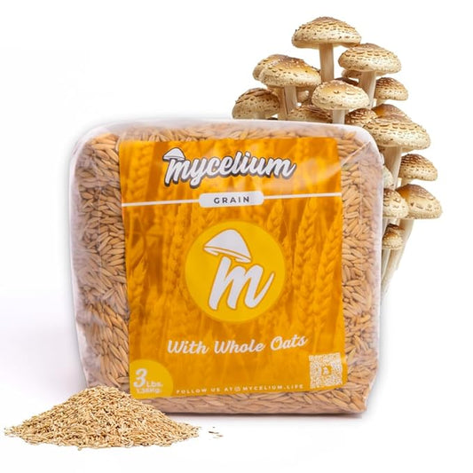 Mycelium 3 lb Whole Oats Grain Spawn for Mushroom Cultivation | Sterilized Nutrient-Rich Bag with Self-Healing Injection Port – Ideal for Rapid Mycelium Colonization | Ready to Inoculate | Made in USA