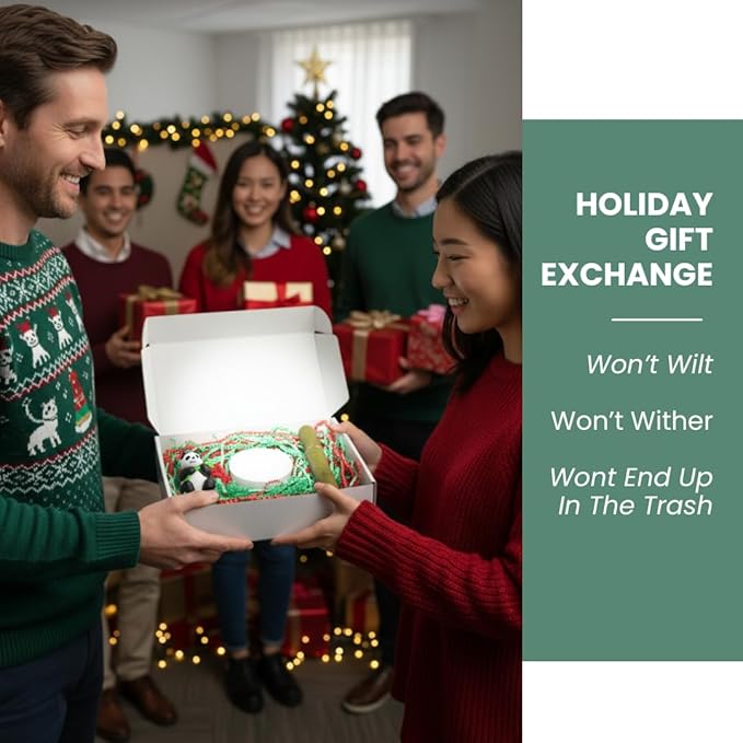 Brazilian Willow Wood Plant - Mini Brazil Lucky Wood Kit - Tray, Lucky Tree, Panda - Swelling Stage - About to Sprout, Brazilian Tree Housewarming - Office Desk Decor - Office Gift Exchange