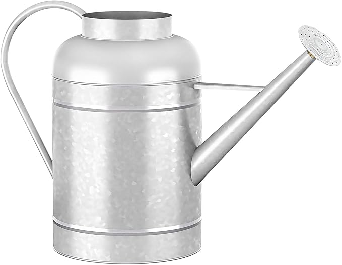 2.3 Gallon Metal Watering Can, Galvanized Watering Can for Outdoor Indoor Plants, Large Water Can for Plants and Garden Flower