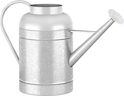 2.3 Gallon Metal Watering Can, Galvanized Watering Can for Outdoor Indoor Plants, Large Water Can for Plants and Garden Flower