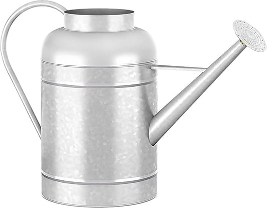 2.3 Gallon Metal Watering Can, Galvanized Watering Can for Outdoor Indoor Plants, Large Water Can for Plants and Garden Flower