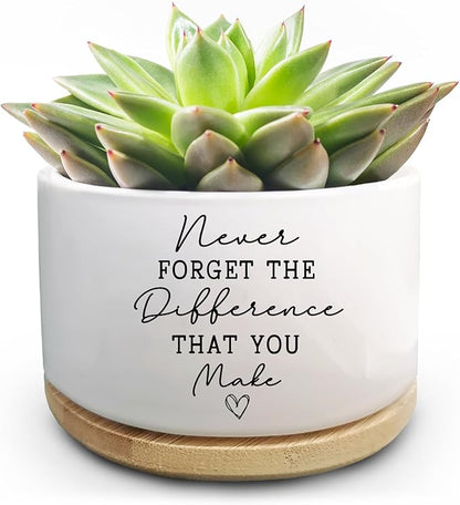 Coworker Thank You Gifts, Funny Succulent Plant Pot, Flower Cactus Planter Gifts, Farewell Going Away Appreciation Inspirational Gifts for Women Men Boss Lady Manager Coworkers (No Plants)