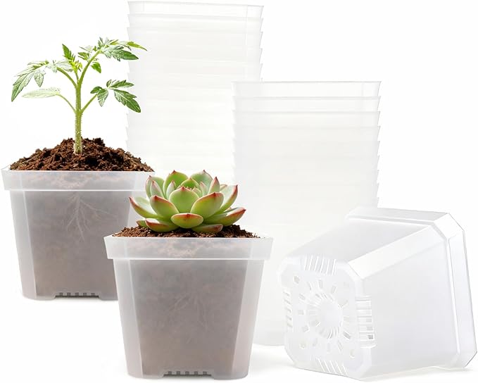 Clear Nursery Pots 30 Pcs 4 Inch Square Plastic Plant Pots with Drainage Hoels Transparent Flower Pot Seed Starter Pot Indoor Outdoor
