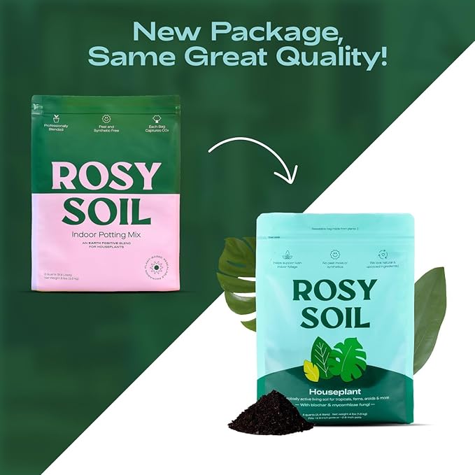 Rosy Soil Indoor Potting Soil for House Plants, 2 x 8 qrt - Organic Potting Soil Mix for Indoor Plants -Enriched w/Root-Boosting Biochar for Foliage Plants, Flowers, Herbs - Pack of 2