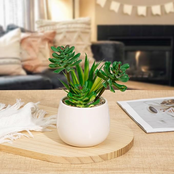 Briful Artificial Succulents Plants in Ceramic Pots, 2 Pack Faux Succulent Set with White Planters – Modern Desk Decor for Home Office Shelf Bathroom, Small Fake Plants Potted