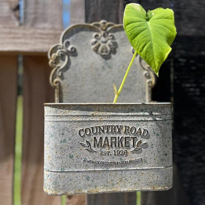 All Chic Set of 2 Metal Hanging Wall Planters Outdoor Indoor Mail Wall Mounted Planter Antique Shabby Chic Wall Decor (Grey)