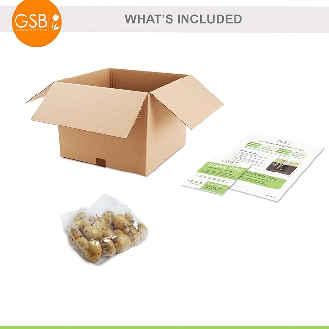 Garden State Bulb Amazing Blend Double Mix Tulip Flower Bulbs, 12/+ cm, Fall Planting (Bag of 25)