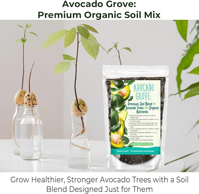 Avocado Tree Soil – Premium Organic Potting Mix for Avocado Trees | Tailored pH & Organic Nutrients | Fast-Draining & Moisture-Retaining | Indoor & Outdoor Use (4 QUARTS)