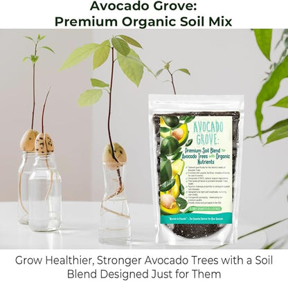 Avocado Tree Soil – Premium Organic Potting Mix for Avocado Trees | Tailored pH & Organic Nutrients | Fast-Draining & Moisture-Retaining | Indoor & Outdoor Use (4 QUARTS)