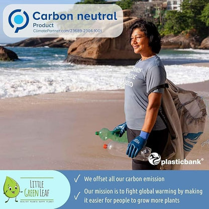 LGL Plant Watering Globes - Automatic Self Watering Globes. Decorative Self Watering Planter Inserts. Self Watering Spikes to Support Plant Health. 4 Pack x 180ml.