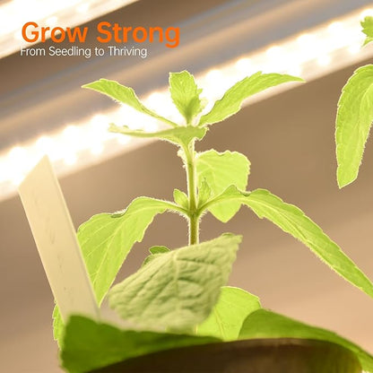 Bstrip Plant Shelf with Grow Light with Timer, Tall Plant Stand with Adjustable Rack and Wheels, 6 Pack T5 3FT Full Spectrum Grow Lights for Indoor Plants, Seed Starting, Seed Tray, 35.4"x13.8"x70.8"