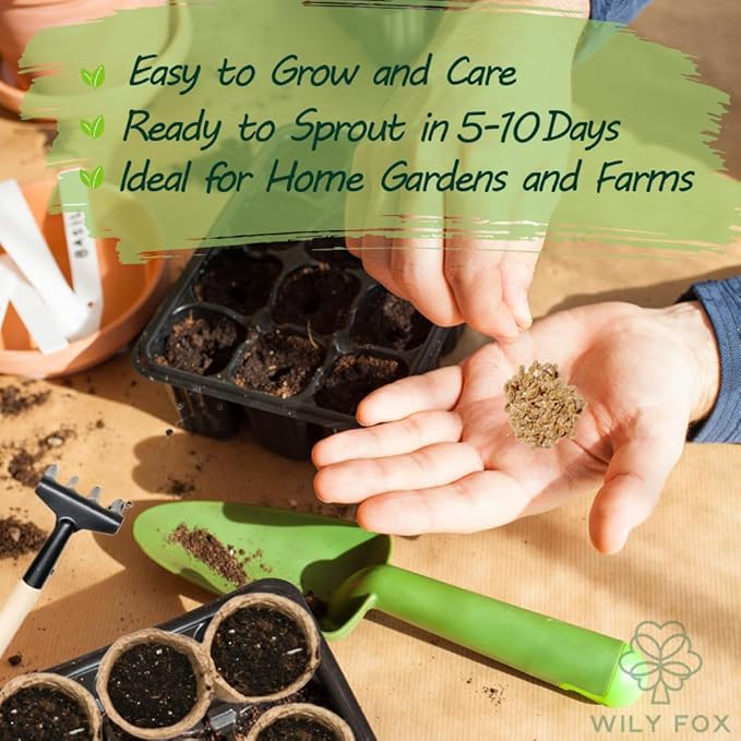 Premium Large Cherry Tomato Seeds – 500 Non-GMO Heirloom Seeds for Planting – Sweet Juicy, High Yield, Rich Flavor Tomatoes for Home Garden, Balcony, Outdoor, Greenhouse – Easy to Grow Vegetable Seeds