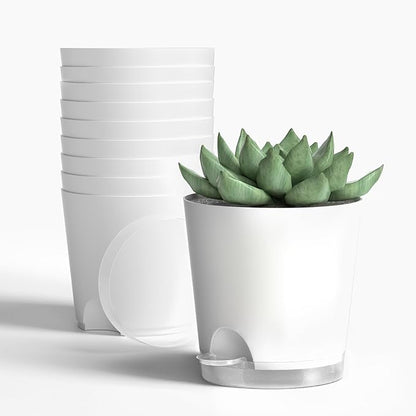 4 Inch 10 Pack Small Self Watering Pots for Indoor Plants, Nursery Pot with Drainage Holes and Saucers, Plastic Small Flower Planter for Succulent, Aloe, Cacti and More (White)