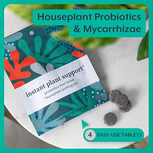 Instant Plant Care Bundle | Instant Plant Support + Instant Plant Food | Grow and Support Happy Houseplants and Indoor Planting Soil