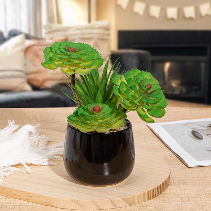 Briful Artificial Succulents Plants in Ceramic Pots, 2 Pack Faux Succulent Set with Black Planters – Modern Desk Decor for Home Office Shelf Bathroom, Small Fake Plants Potted