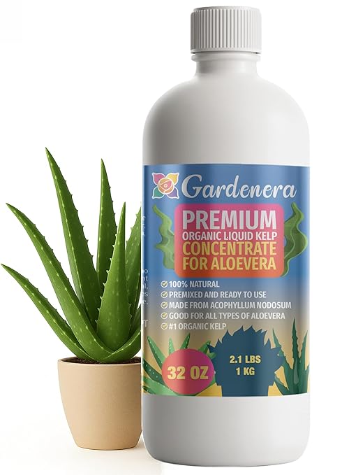 GARDENERA Premium Organic Seaweed & Kelp Superfood for Aloe Plants - 32 oz - Liquid Kelp Fertilizer Concentrate (Makes 180 Gallons)