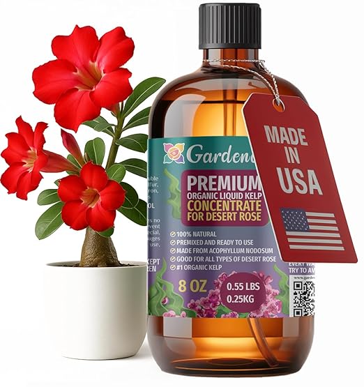 GARDENERA Premium Organic Seaweed & Kelp Superfood for Desert Rose Plants - 8 oz - Liquid Kelp Fertilizer Concentrate (Makes 45 Gallons)